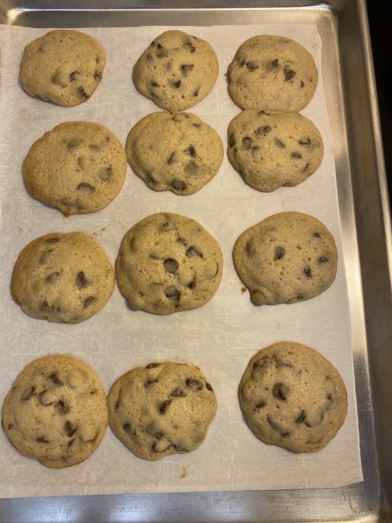 Are Chocolate Chip Cookies Worth Their Salt? – Work and Workings of a Nerd